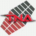 Алоизия в TNA