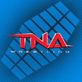 TNA Victory Road 2011