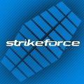 Strikeforce/M-1 WorldGrandPrix 12.02.2011